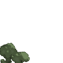 Bush Animation