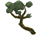 Tree Animation